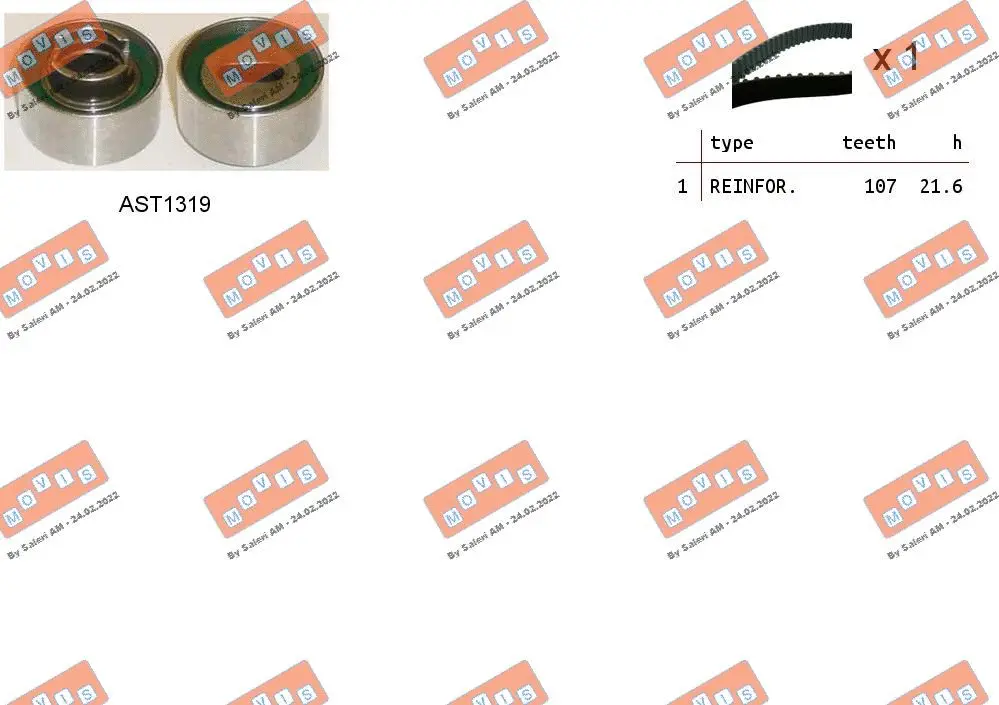 Timing Belt Kit (ASTK0991)