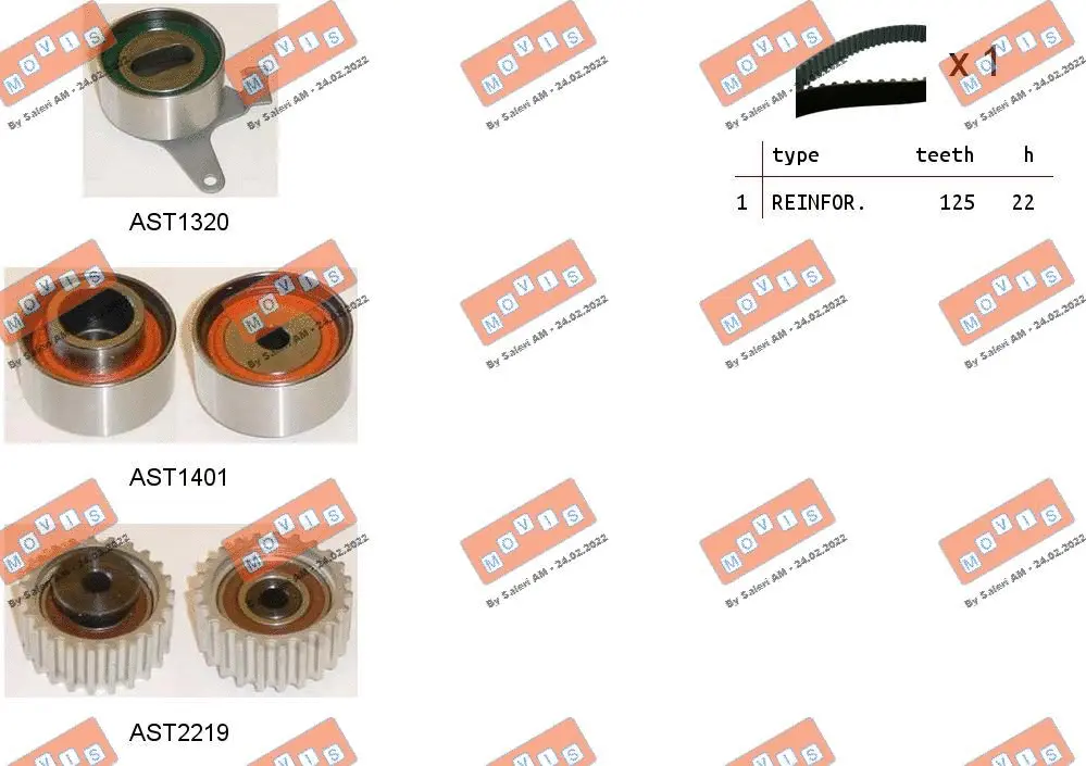 Timing Belt Kit (ASTK1197)
