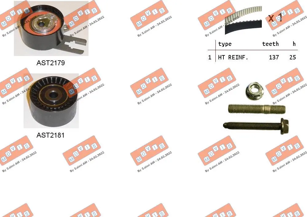 Timing Belt Kit (ASTK1074)