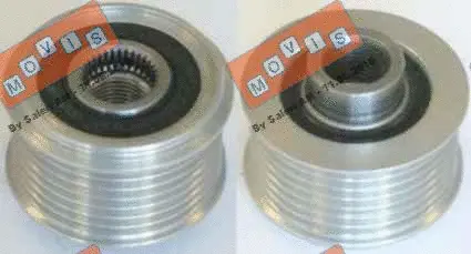 Alternator Freewheel Clutch (AST3173)