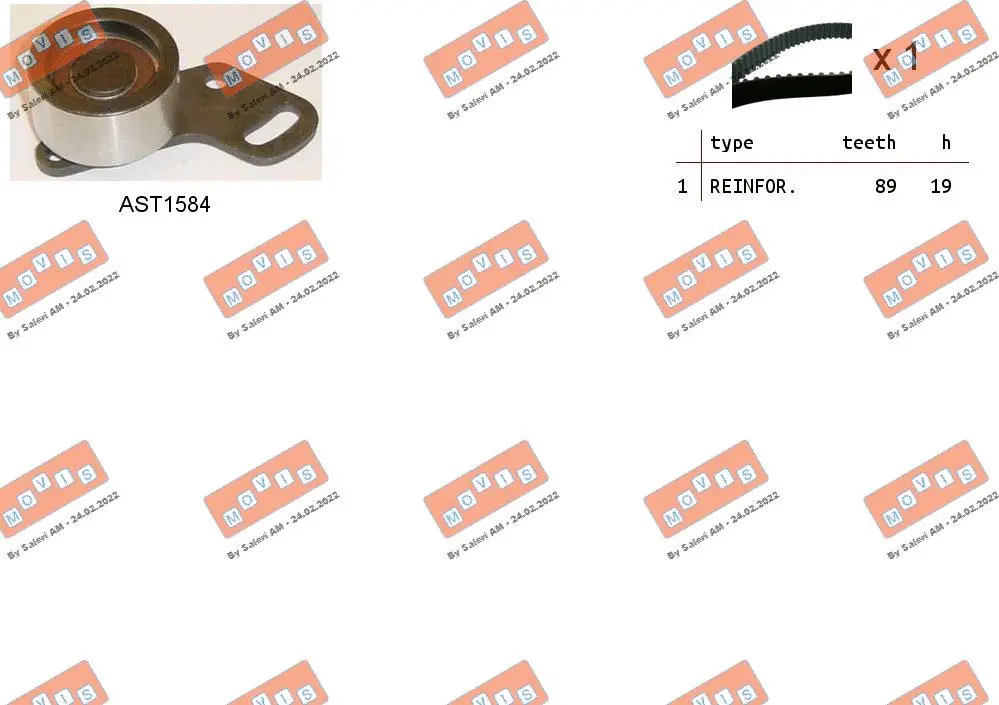 Timing Belt Kit (ASTK1249)