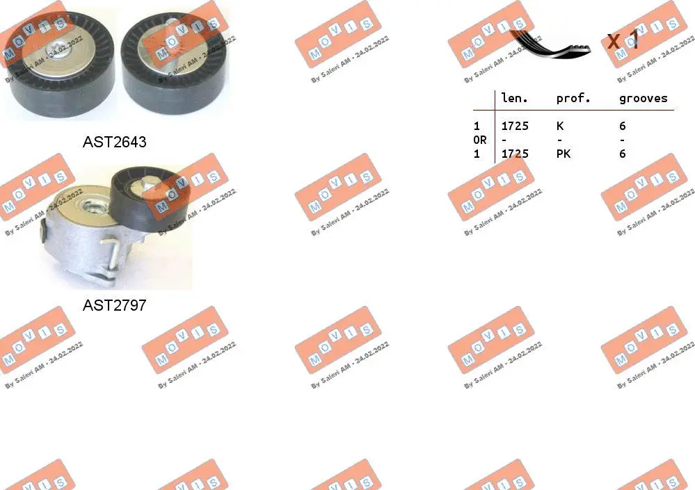 V-Ribbed Belt Set (ASTA0088)