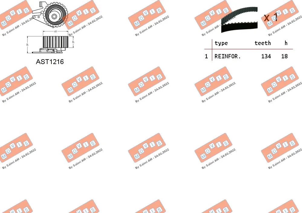 Timing Belt Kit