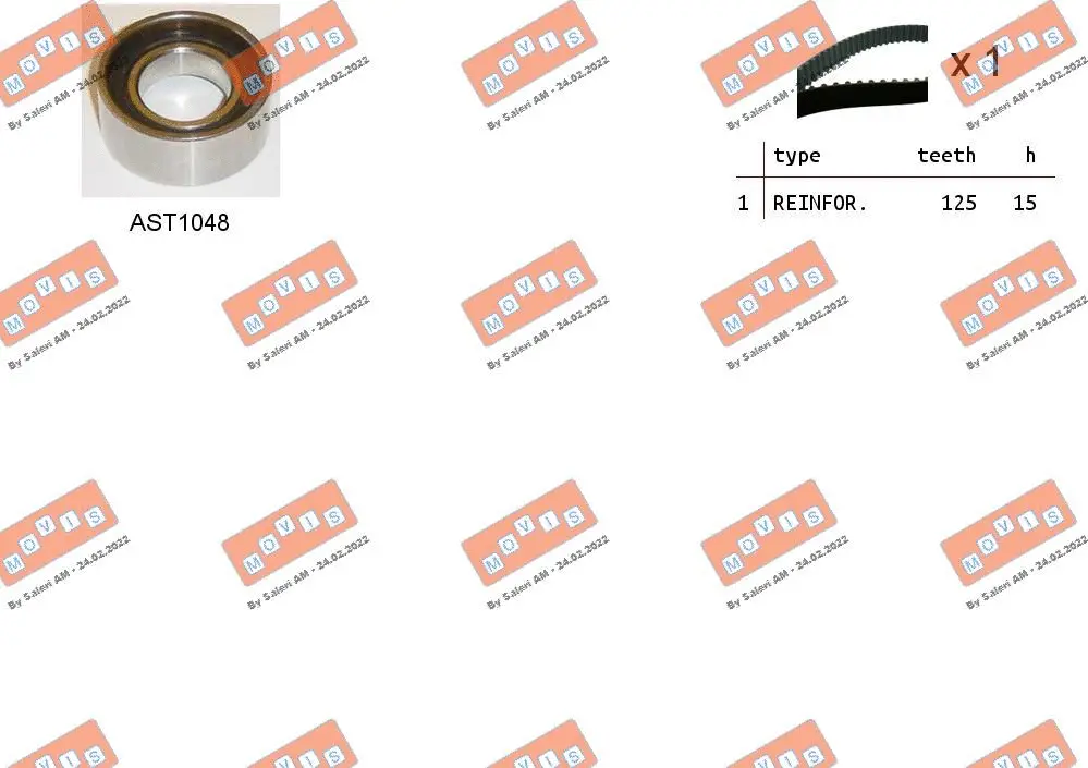 Timing Belt Kit (ASTK0856)