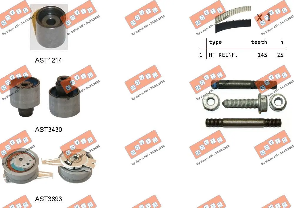 Timing Belt Kit (ASTK1166)
