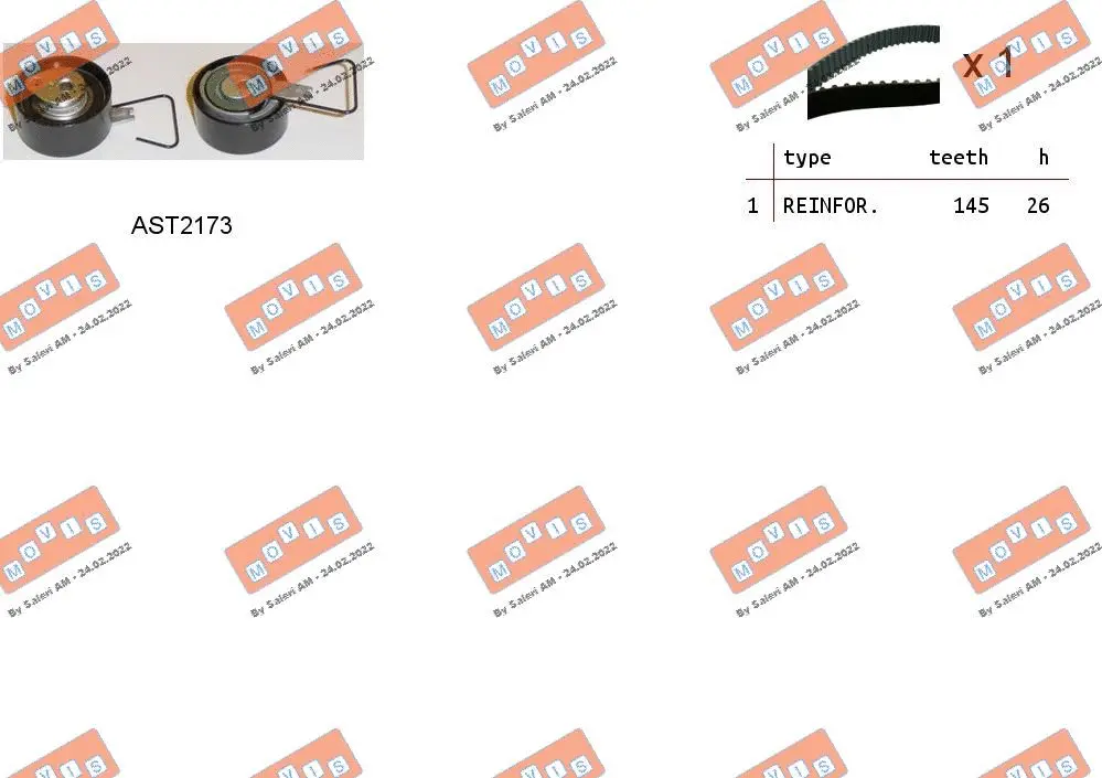 Timing Belt Kit (ASTK0954)