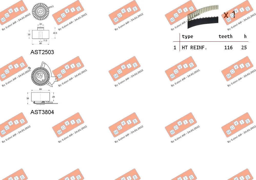 Timing Belt Kit