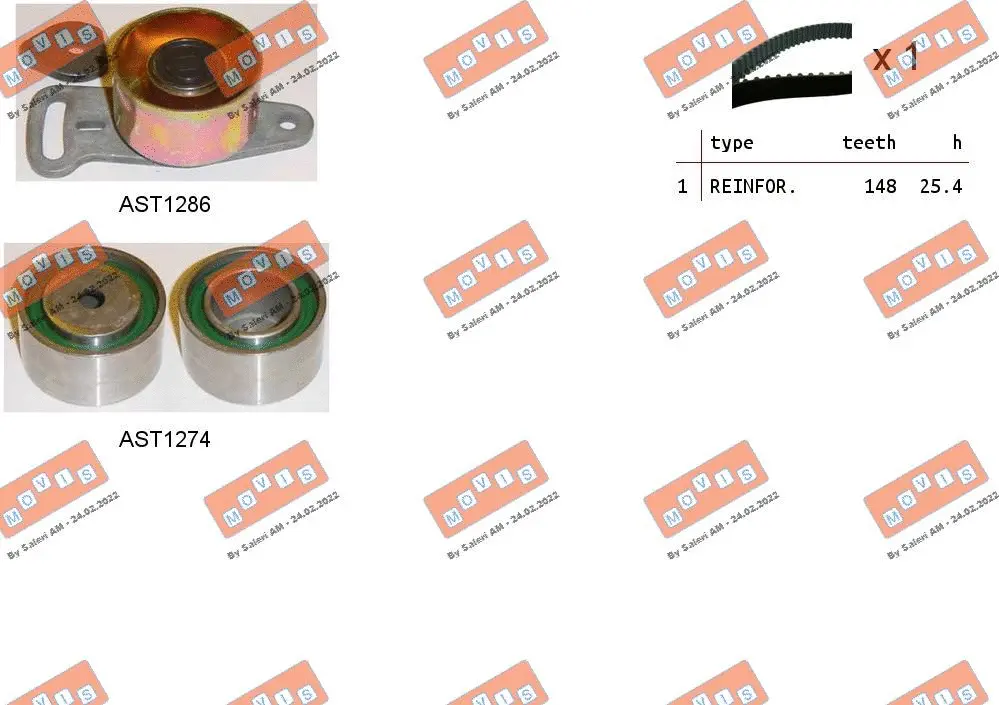 Timing Belt Kit (ASTK1141)