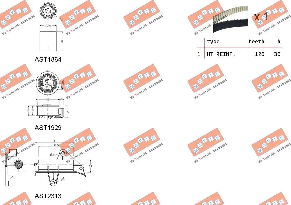 Timing Belt Kit