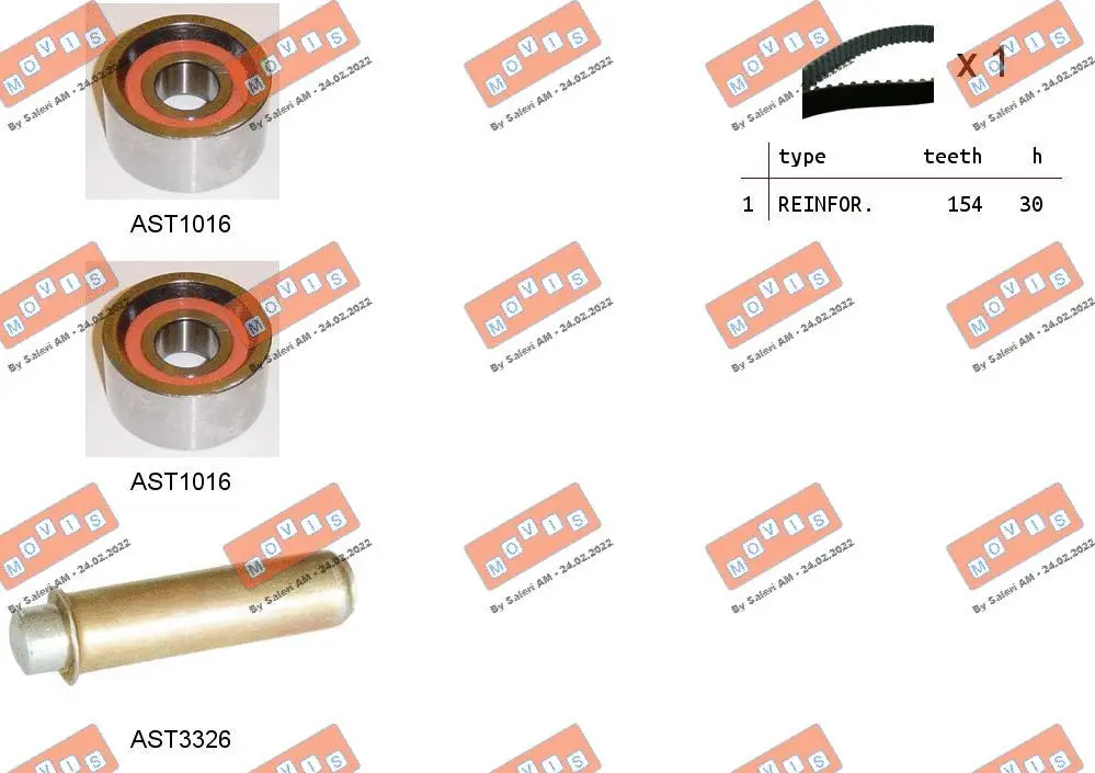 Timing Belt Kit (ASTK1184)