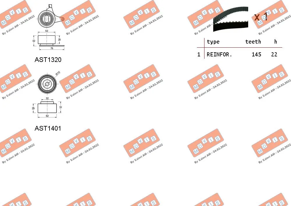 Timing Belt Kit