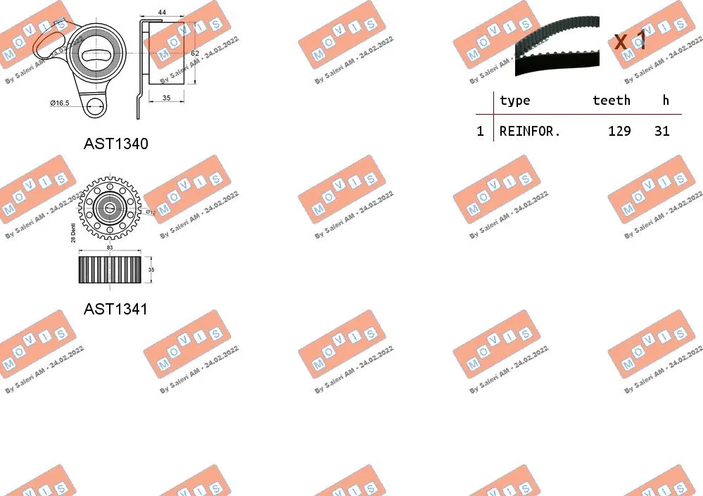 Timing Belt Kit