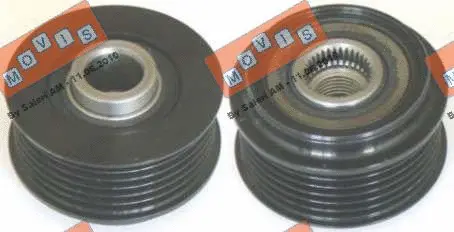 Alternator Freewheel Clutch (AST2925)