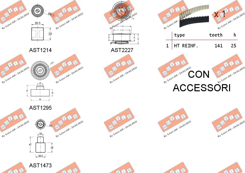 Timing Belt Kit