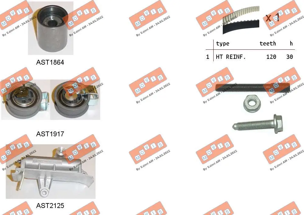 Timing Belt Kit (ASTK0941)