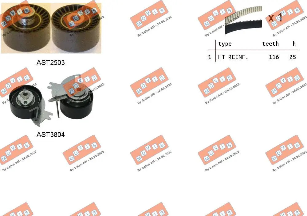 Timing Belt Kit (ASTK1217)