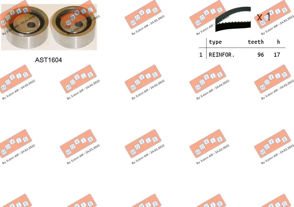 Timing Belt Kit (ASTK0908)