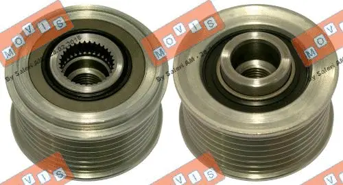 Alternator Freewheel Clutch (AST3807)