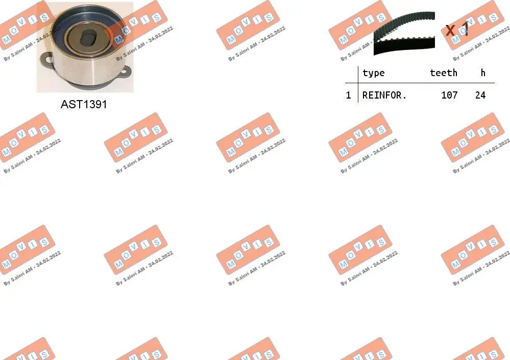 Timing Belt Kit (ASTK1257)