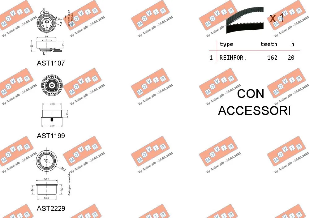 Timing Belt Kit