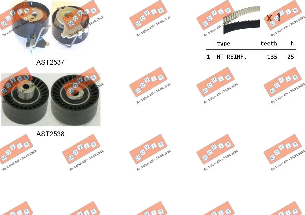 Timing Belt Kit (ASTK1080)