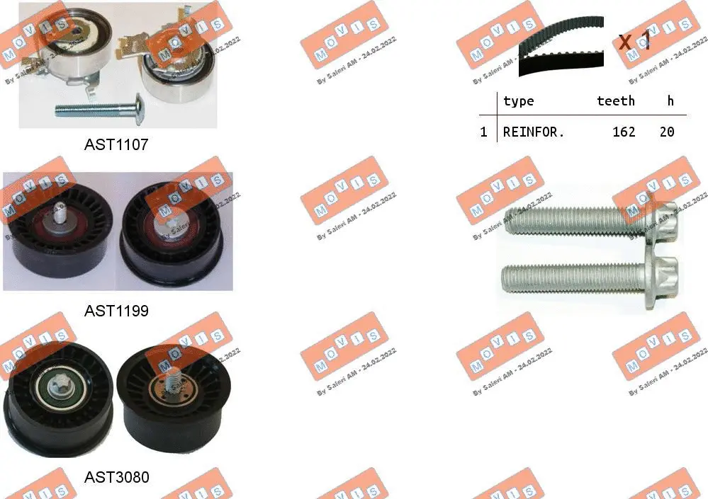 Timing Belt Kit (ASTK1107)