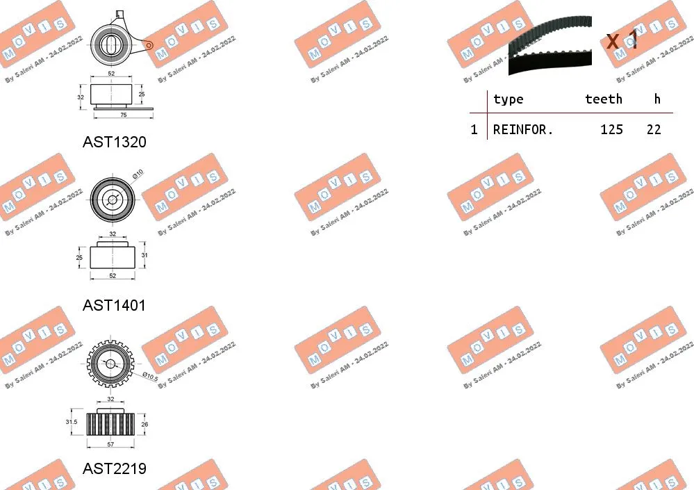 Timing Belt Kit