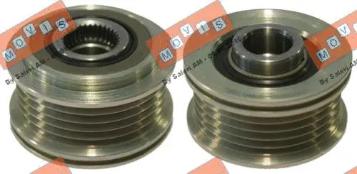 Alternator Freewheel Clutch (AST3746)