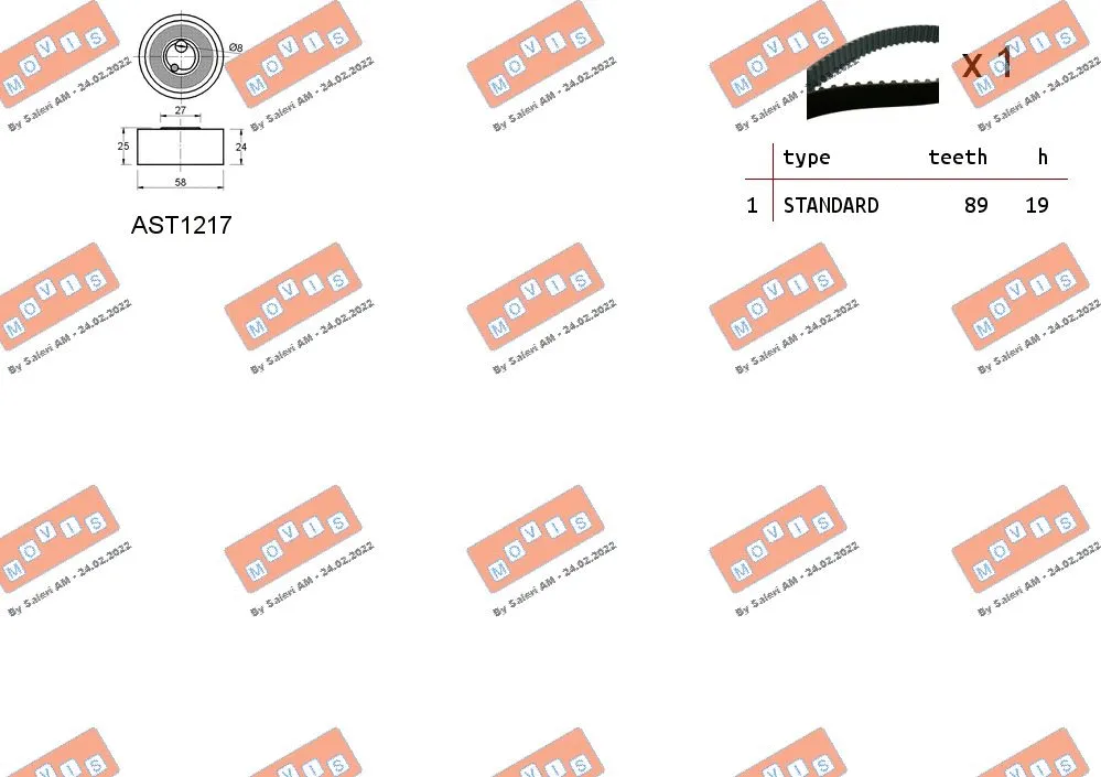 Timing Belt Kit