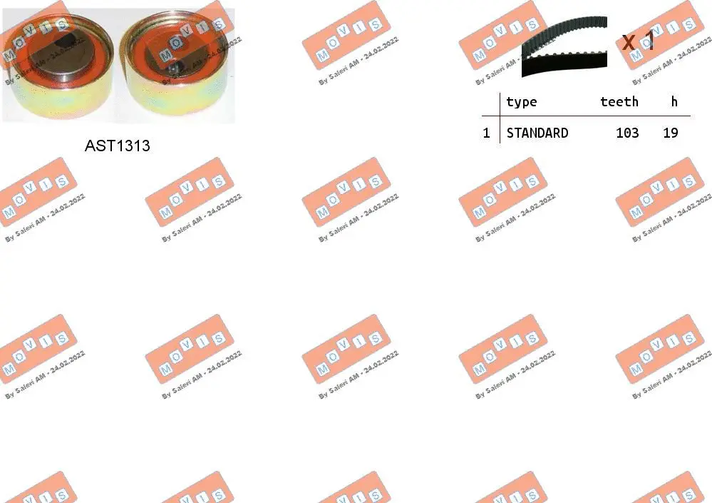Timing Belt Kit (ASTK1227)