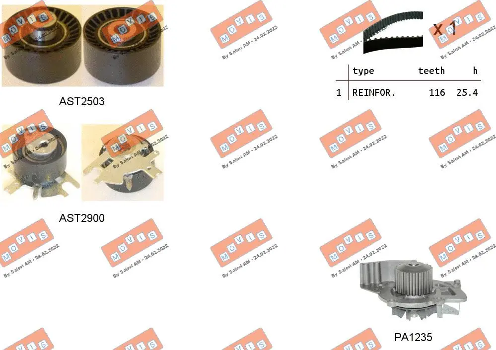Water Pump & Timing Belt Kit (ASTK1087PA2)