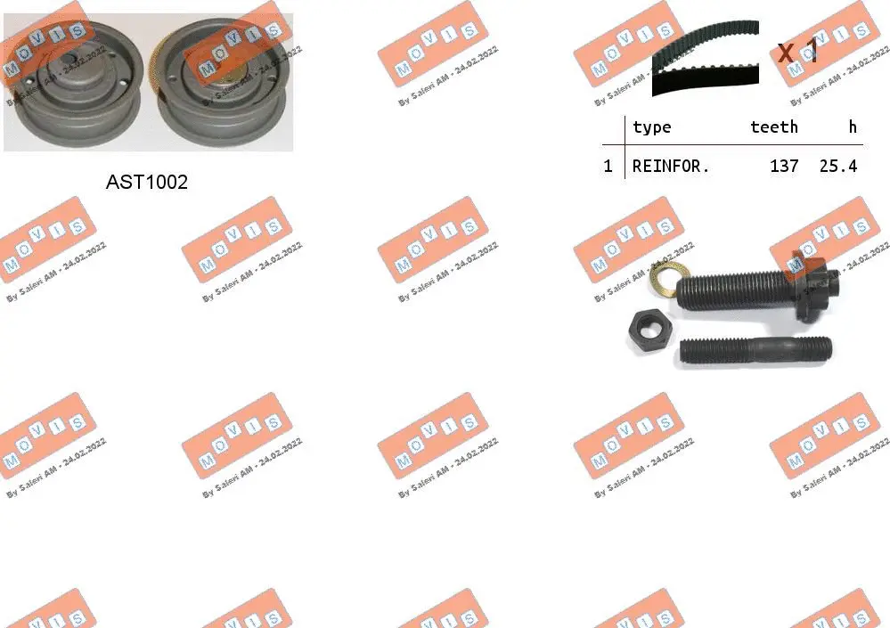 Timing Belt Kit (ASTK0879)