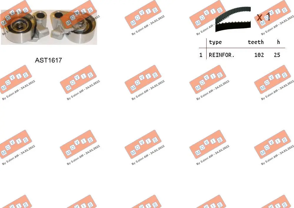 Timing Belt Kit (ASTK1064)