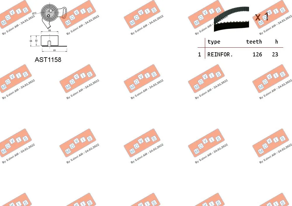 Timing Belt Kit