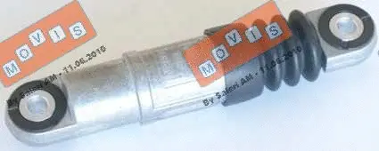Vibration Damper, V-ribbed belt (AST3240)