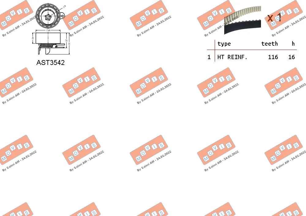 Timing Belt Kit