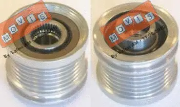 Alternator Freewheel Clutch (AST3210)