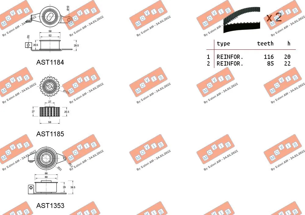 Timing Belt Kit