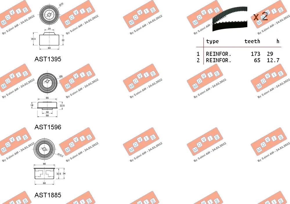 Timing Belt Kit