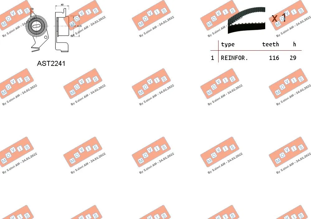 Timing Belt Kit