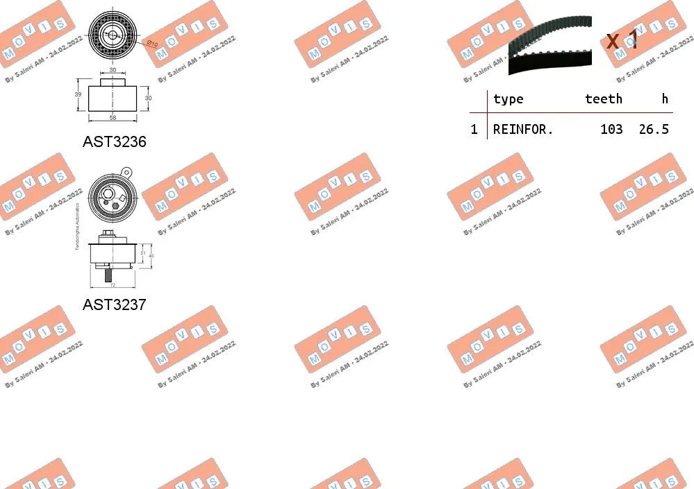 Timing Belt Kit
