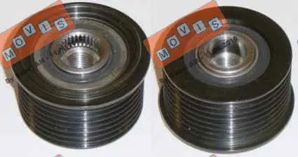 Alternator Freewheel Clutch (AST2462)