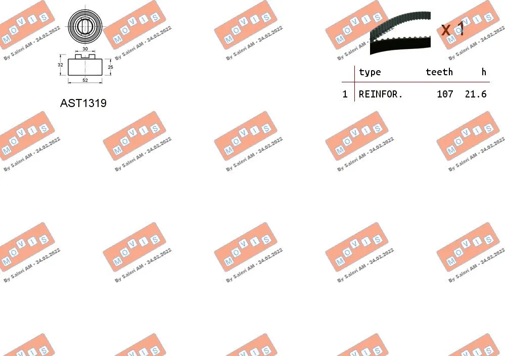 Timing Belt Kit