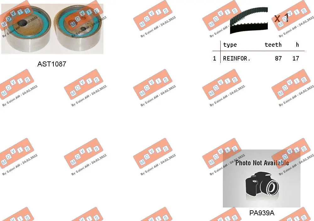 Water Pump & Timing Belt Kit (ASTK0818PA)