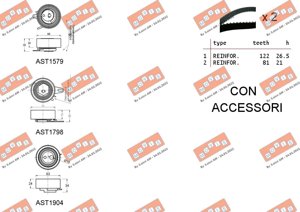 Timing Belt Kit