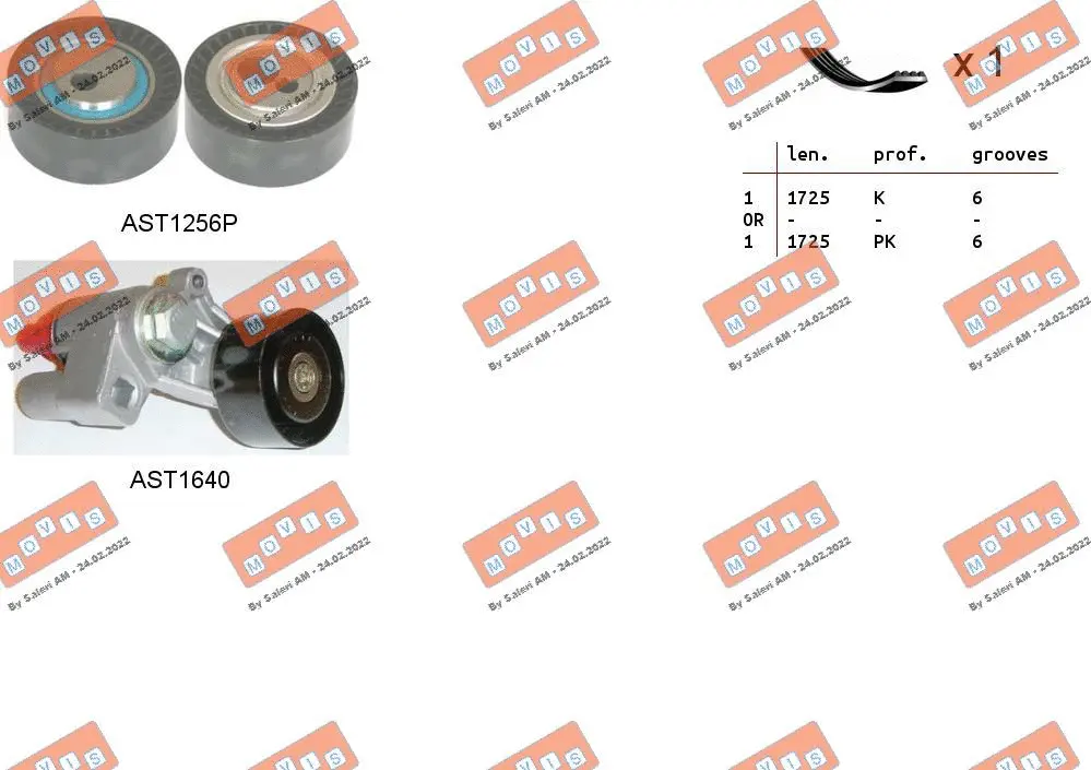 V-Ribbed Belt Set (ASTA0055)