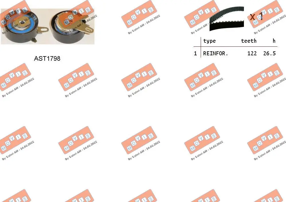 Timing Belt Kit (ASTK1033)