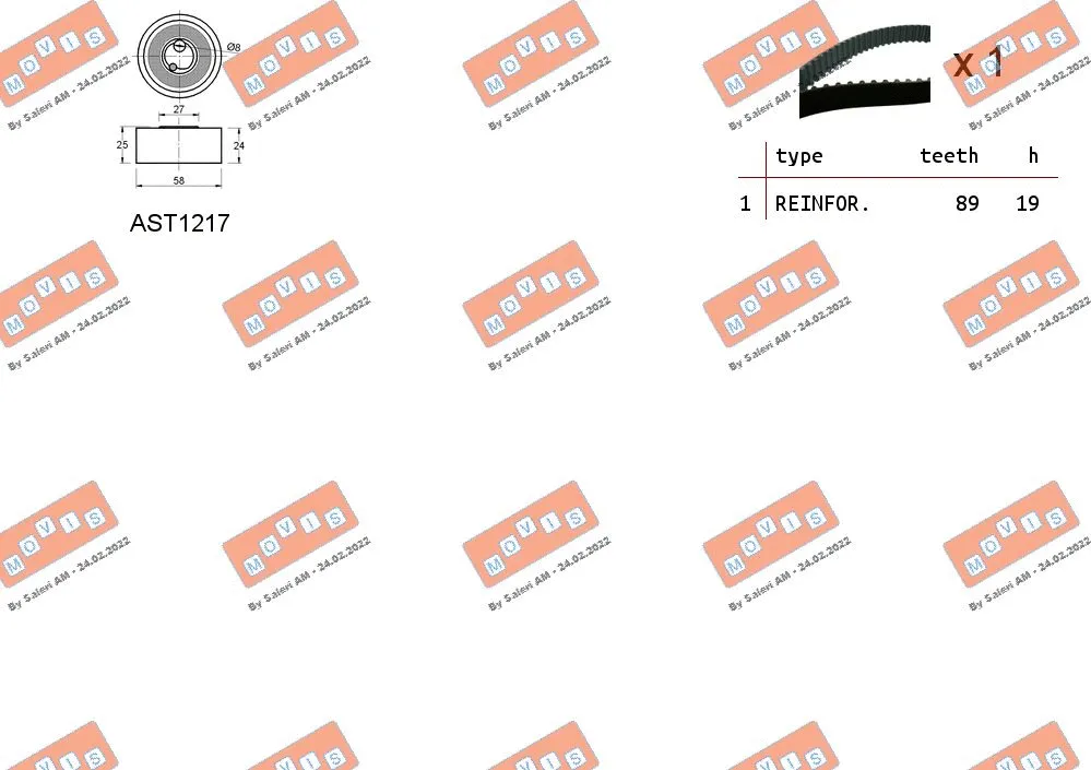 Timing Belt Kit