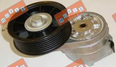 Deflection/Guide Pulley, V-ribbed belt (AST1969)