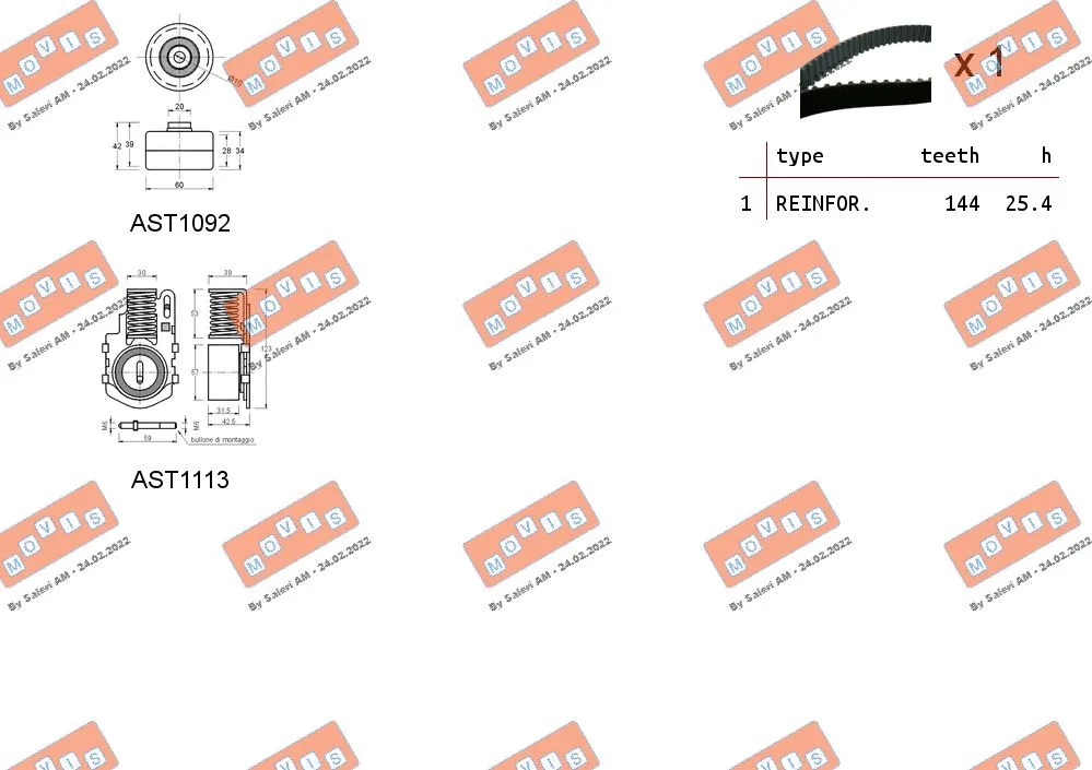 Timing Belt Kit